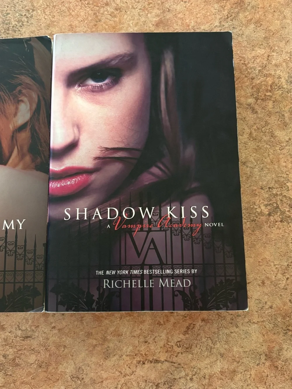 Vampire Academy Paperback Book Bundle - Richelle Mead
